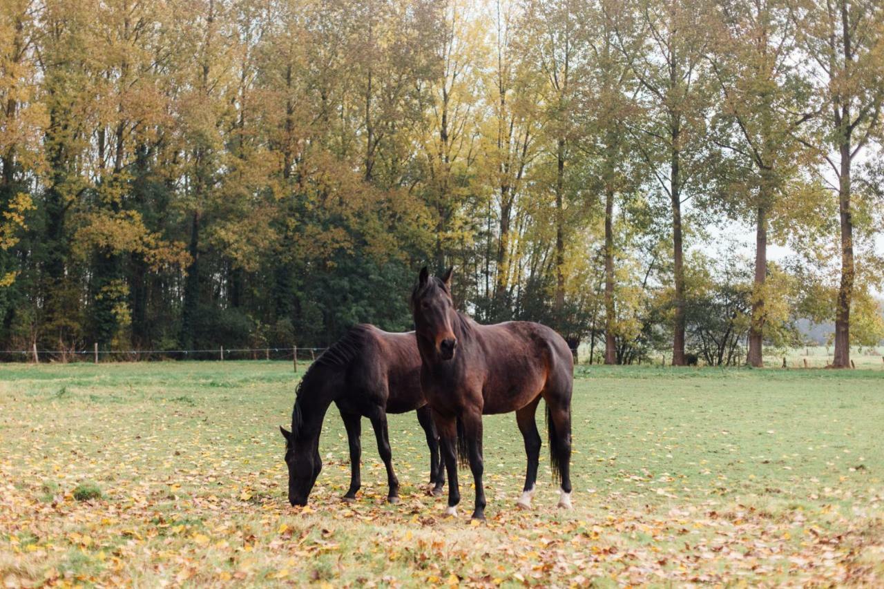 Clayshoeve Munte Buitenkant foto